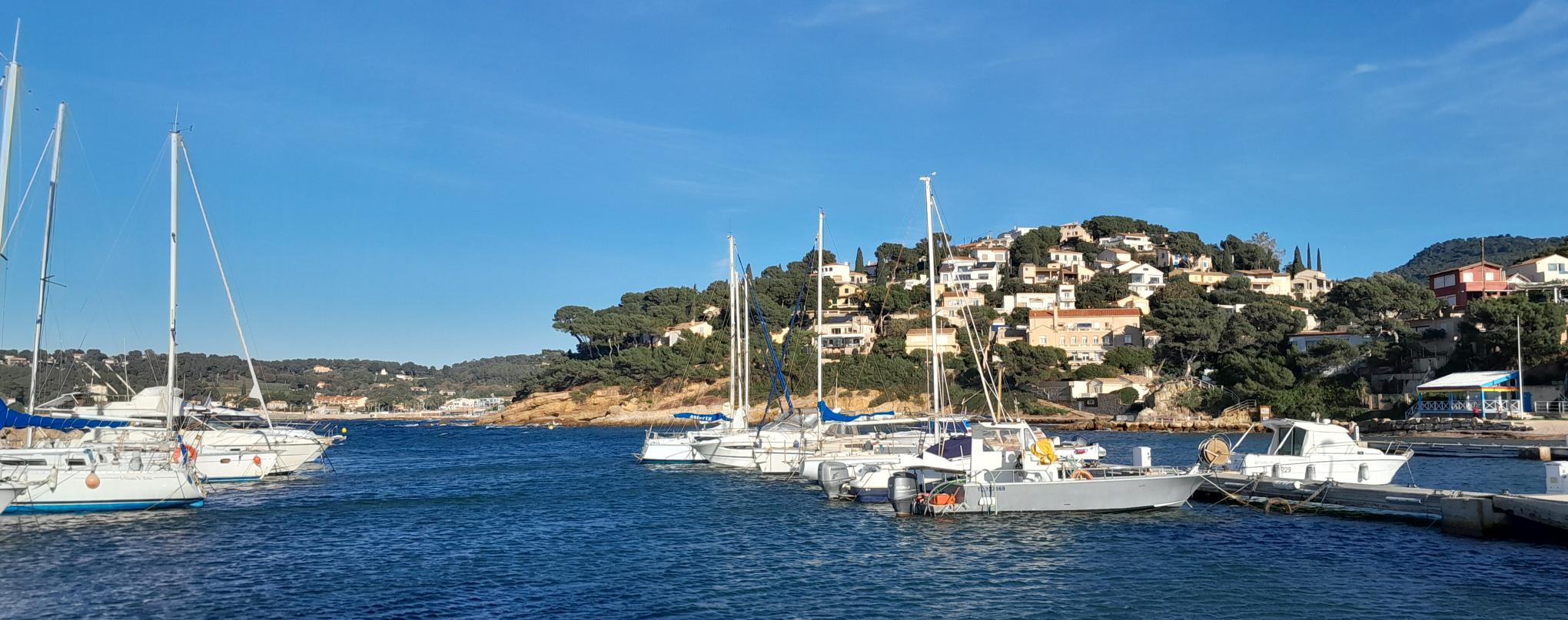 Les brèves du mois d'août.